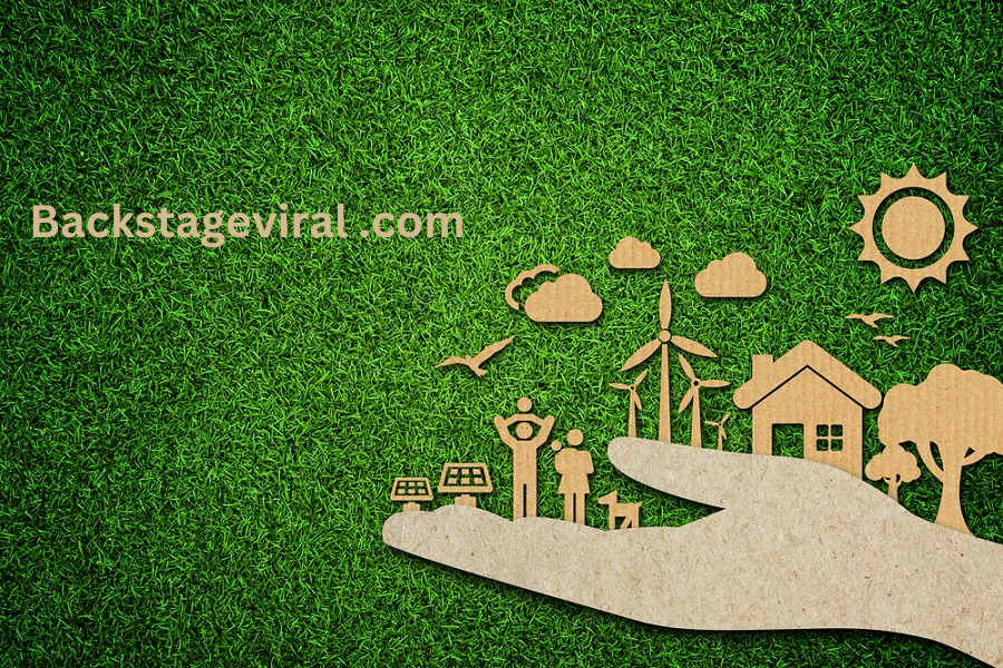 Backstageviral .com | Practical Eco-Friendly Advice for a Sustainable Future